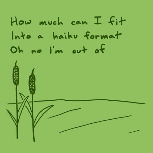 Funny haiku Poems