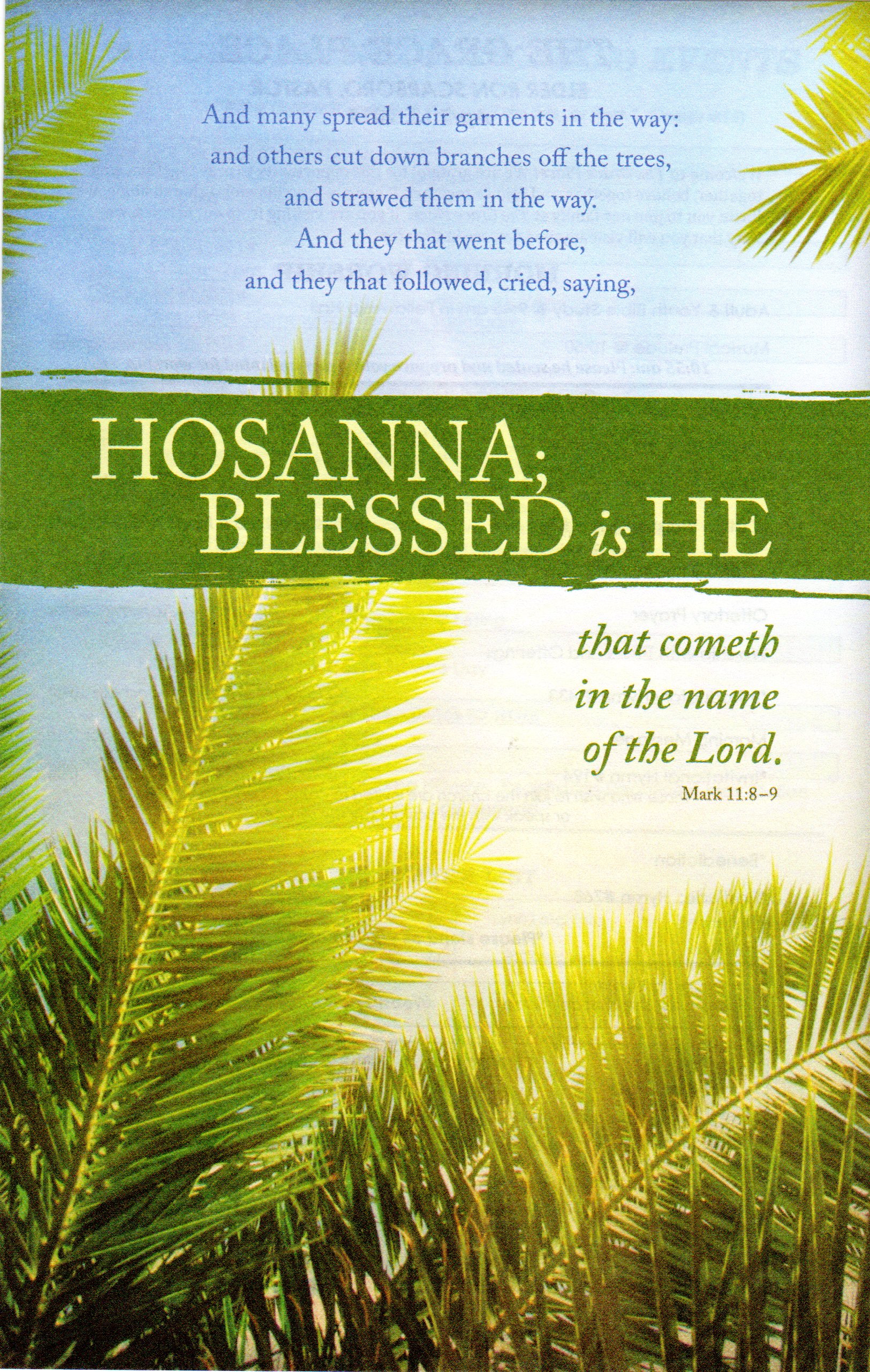 Palm sunday Poems