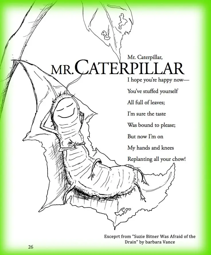 Second grade Poems