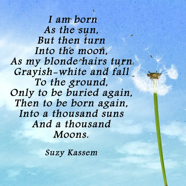 Dandelion Poems