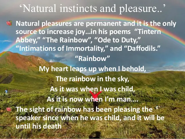 i wandered as a lonely cloud summary