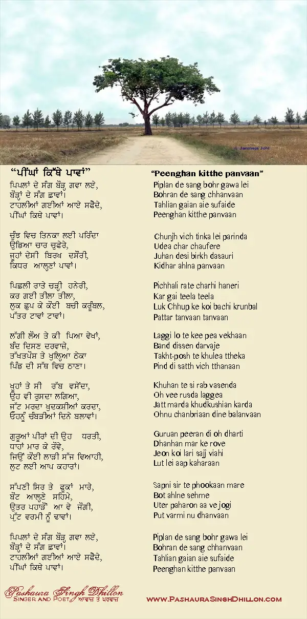 short essay on environment in punjabi language