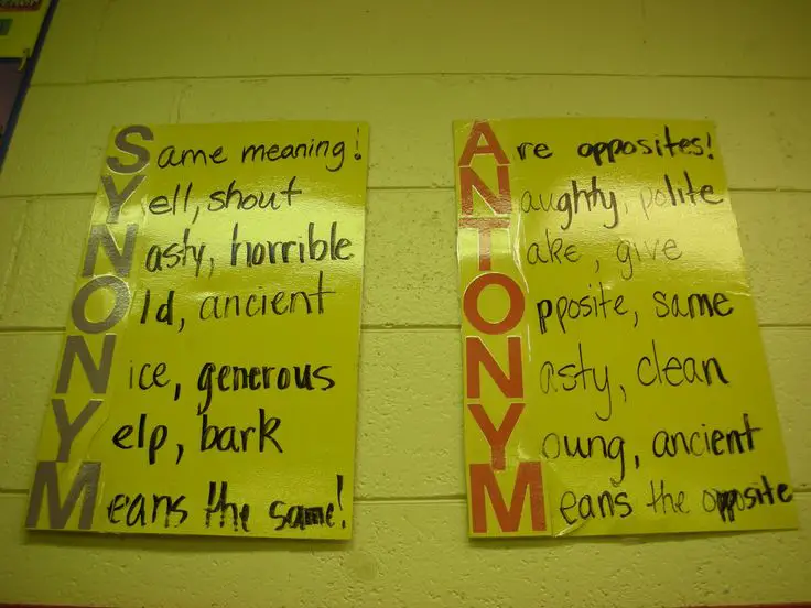 Antonyms Anchor Chart