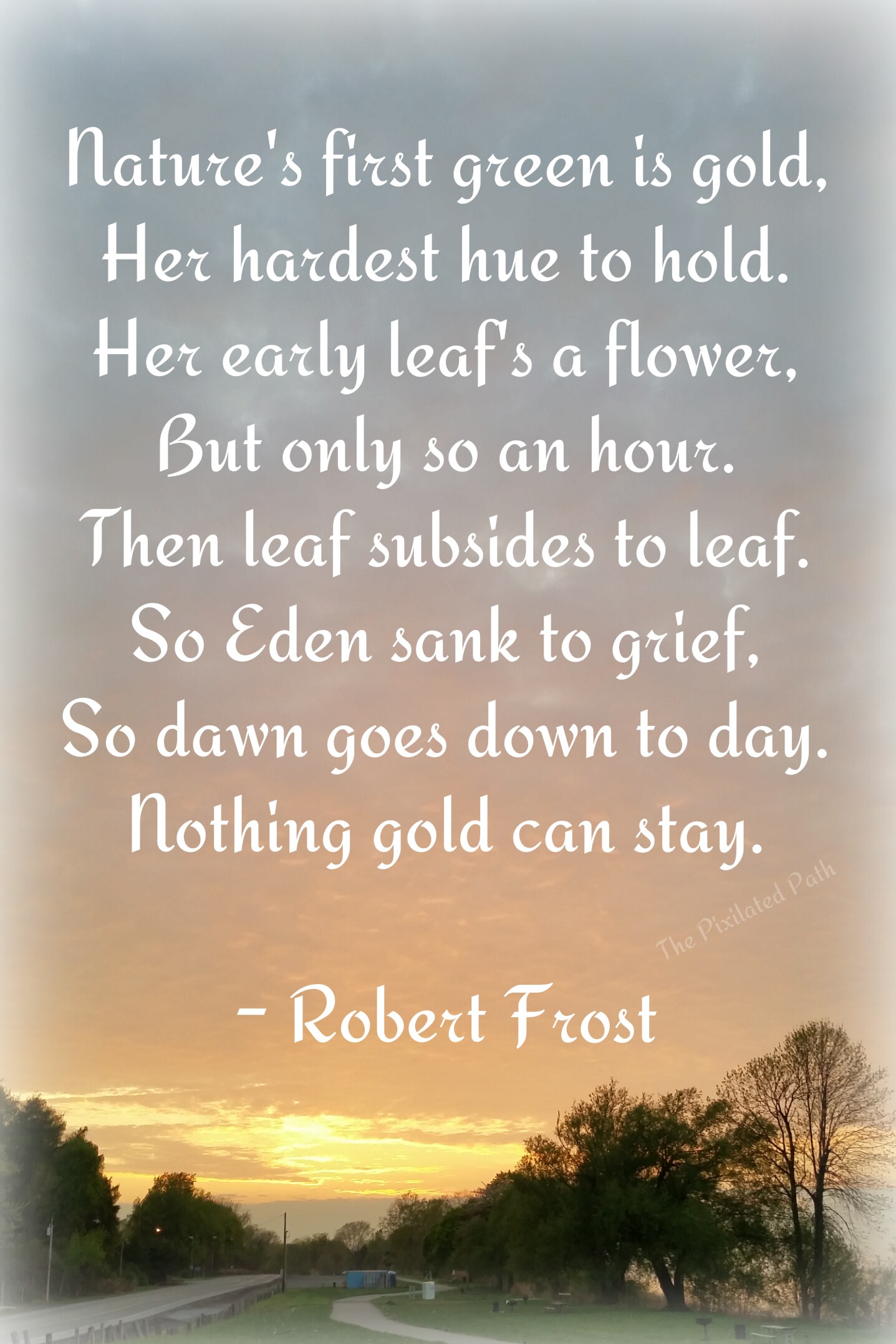 gold poem from the outsiders gold poem from the outsiders