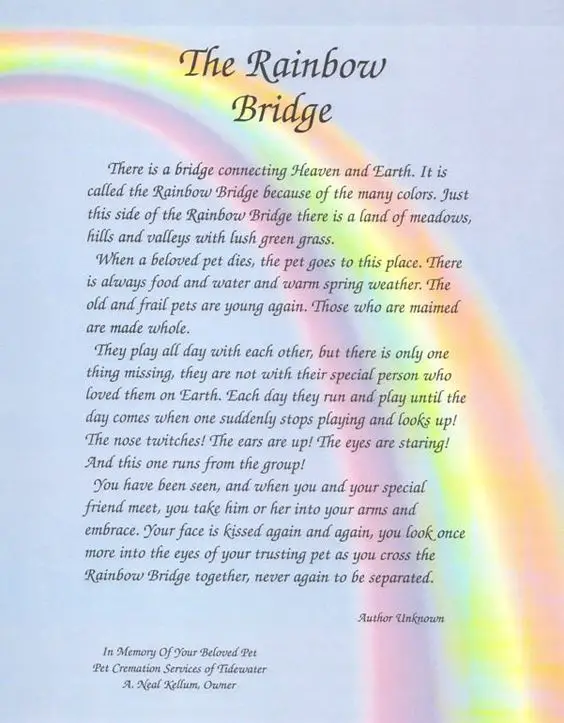 the-rainbow-bridge-poem-printable