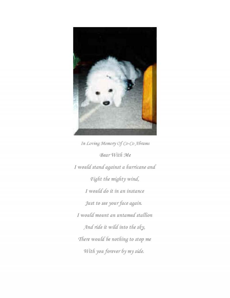 Pet Poems