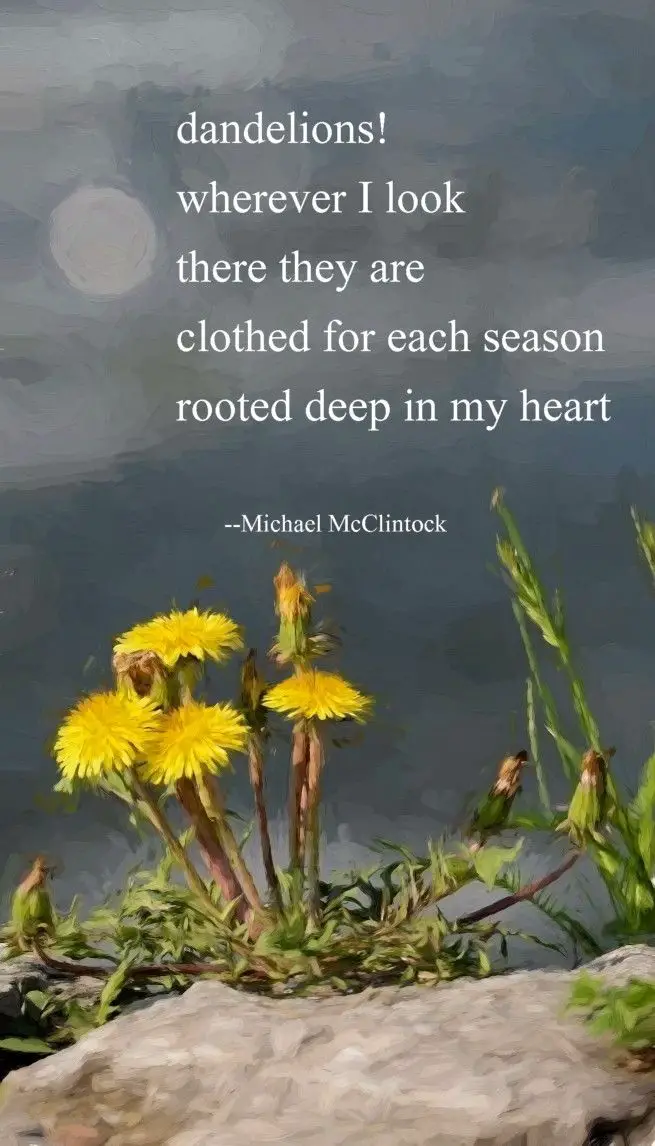 Dandelion Poems