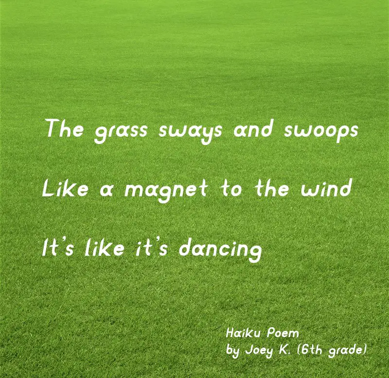 Grass Poems