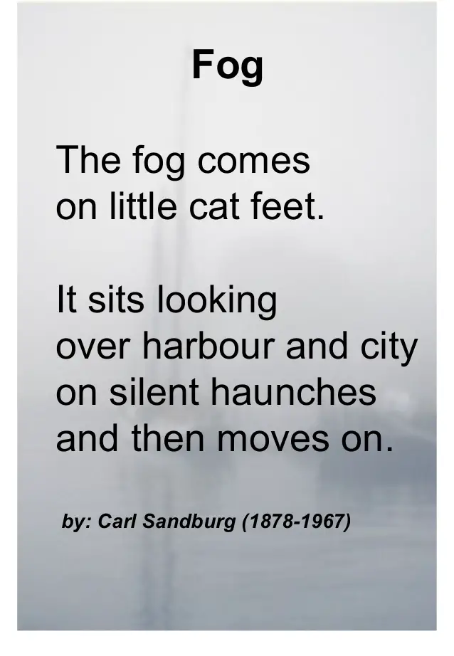 Fog Poems