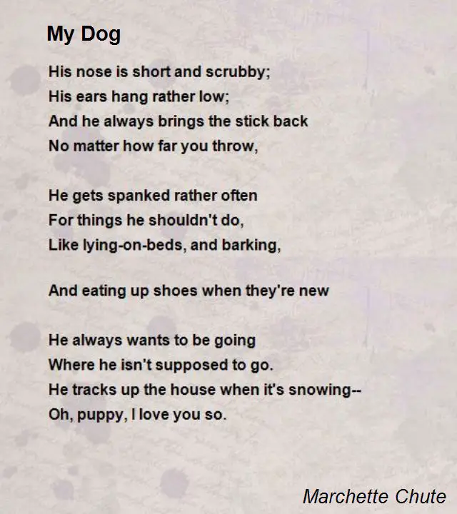 40 Famous Poems About Dogs Background Famous Poems About Life