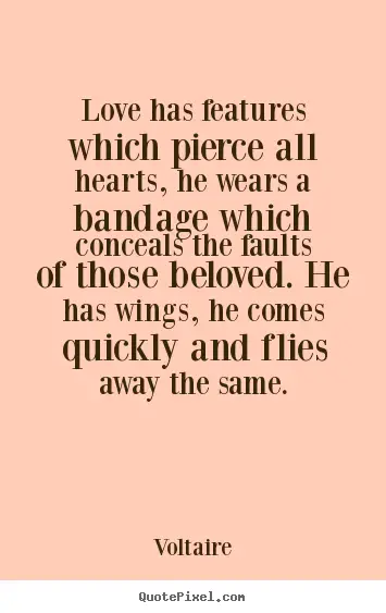 Voltaire in Love