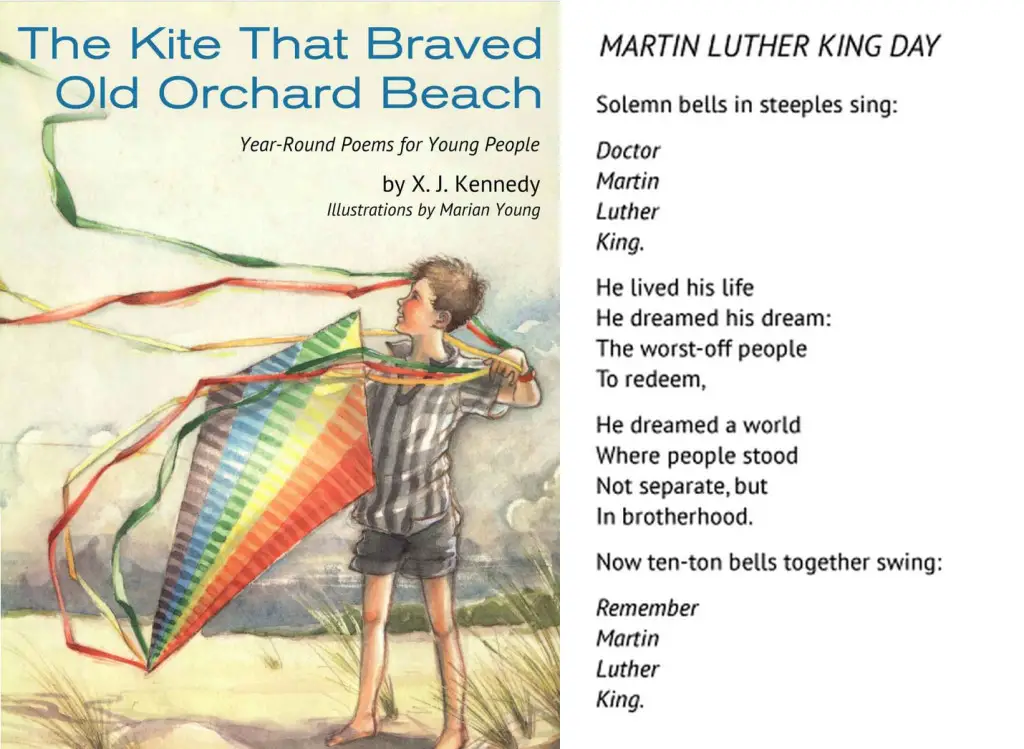 Diversity Poems