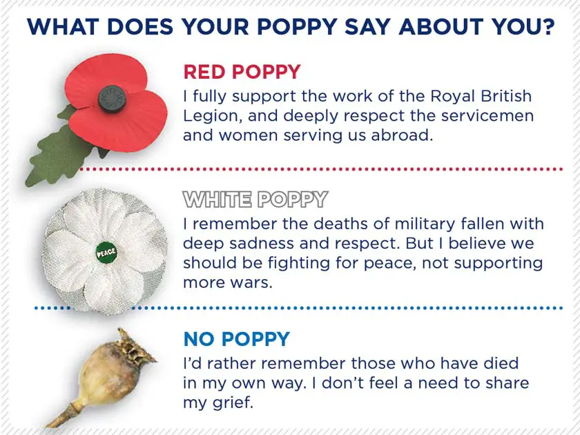 remembrance poppy colours remembrance poppy colours