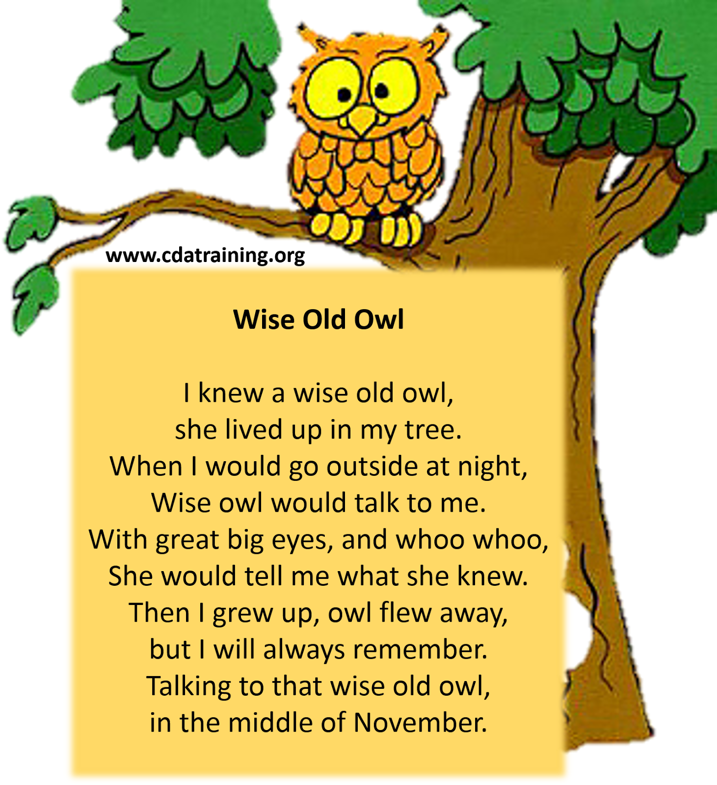 Owl Poems