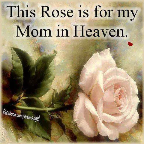 mother's day in heaven gifts