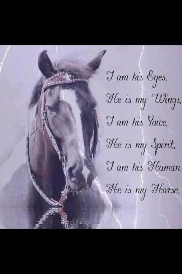 Horse memorial Poems