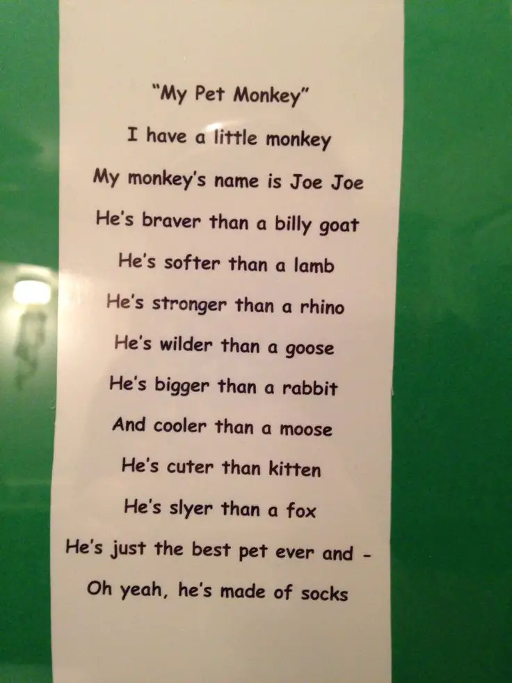 Monkey Poems