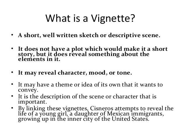 What is a vignette picture