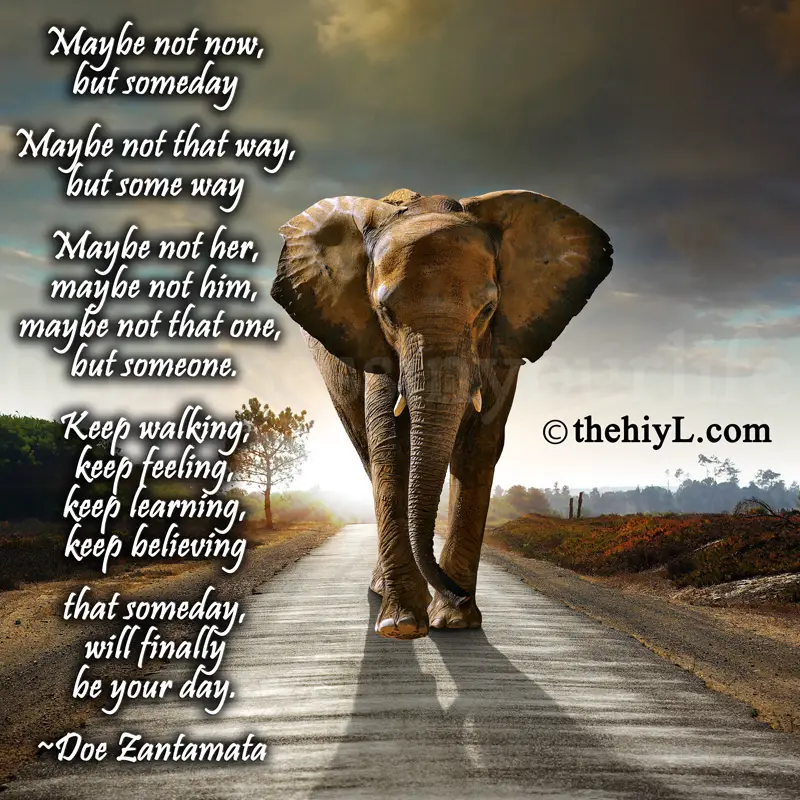 Elephant Poems