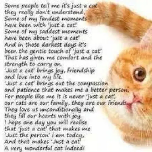Cat memorial Poems