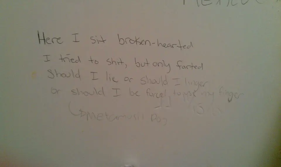 Toilet Poems