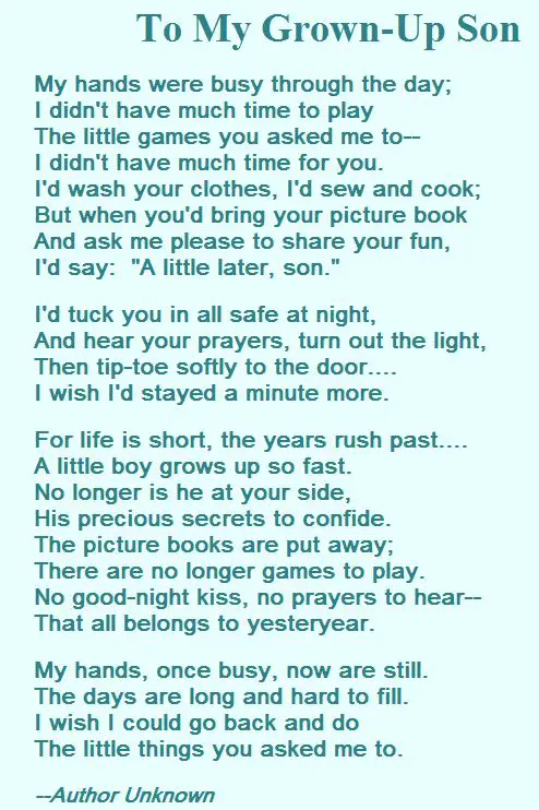 Ted hughes the horses essay