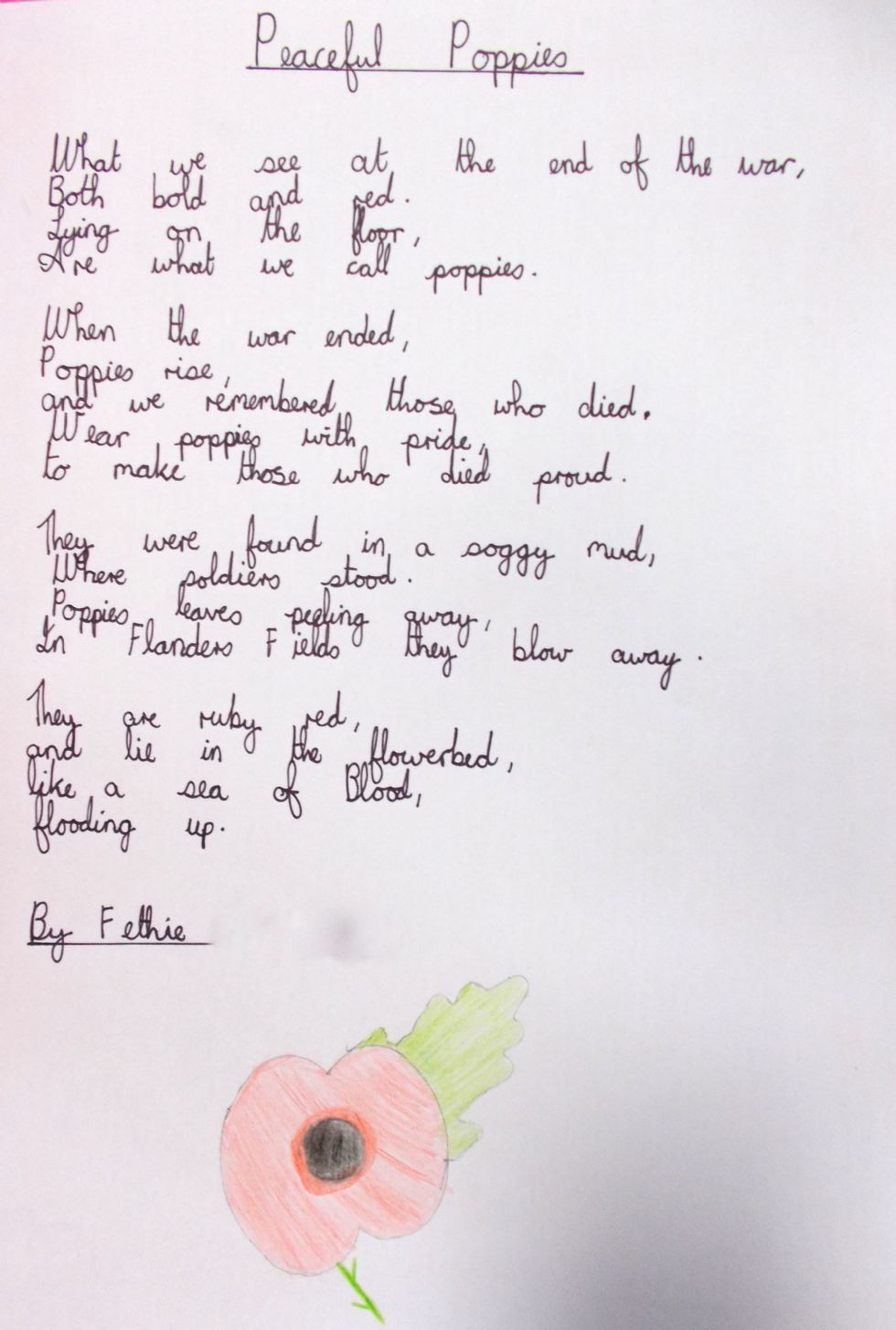 Poppies Poems