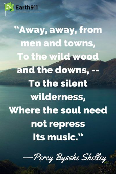 Environmental Poems
