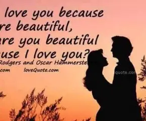 You Are My Beautiful Wife Quotes