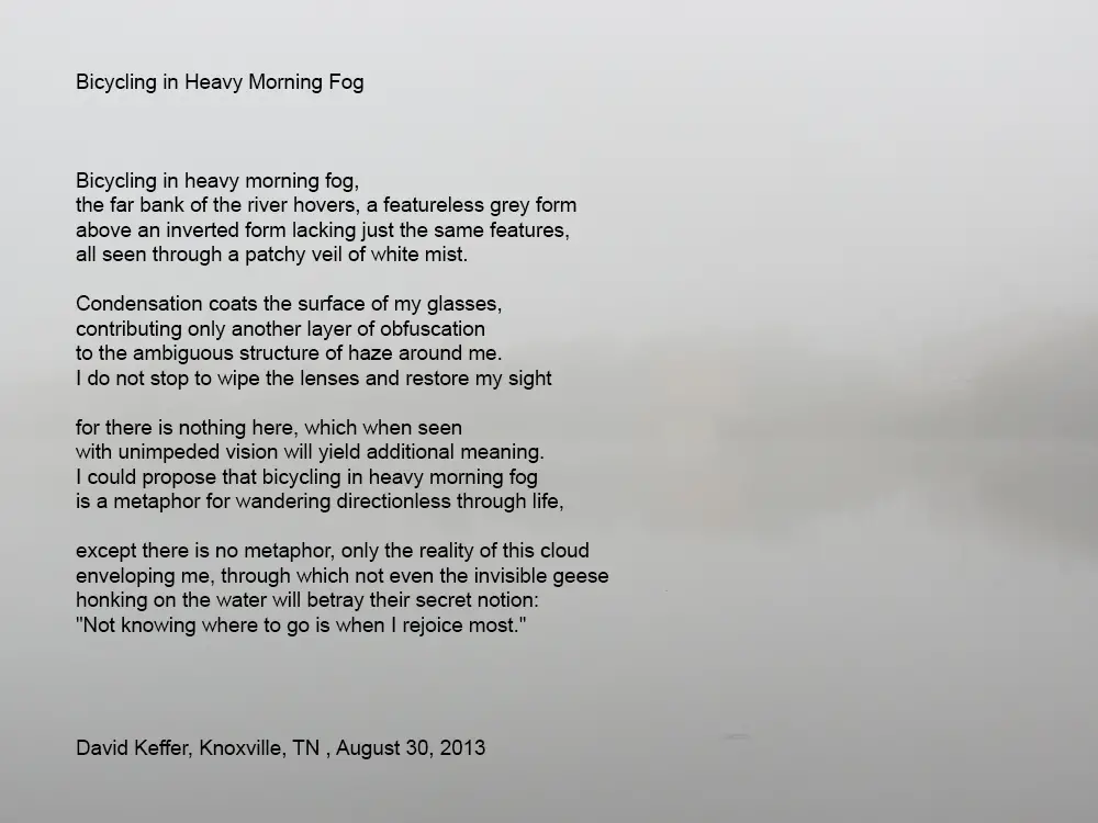 Fog Poems