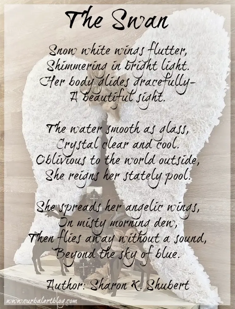 Angel wing Poems
