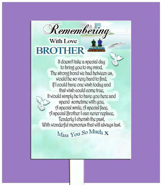 Loss brother Poems