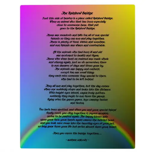 Rainbow bridge Poems photograph relating to Printable Rainbow Bridge Poem referred to as Rainbow bridge Poems