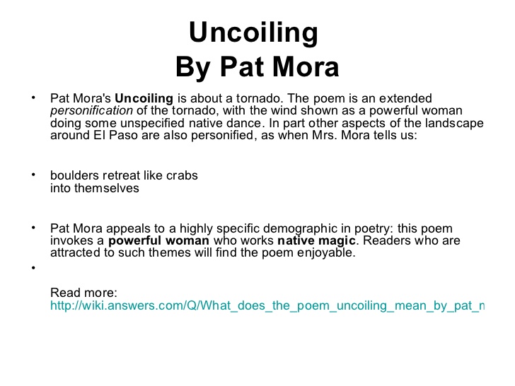 Poem Analysis Of La Migra By Pat Mora