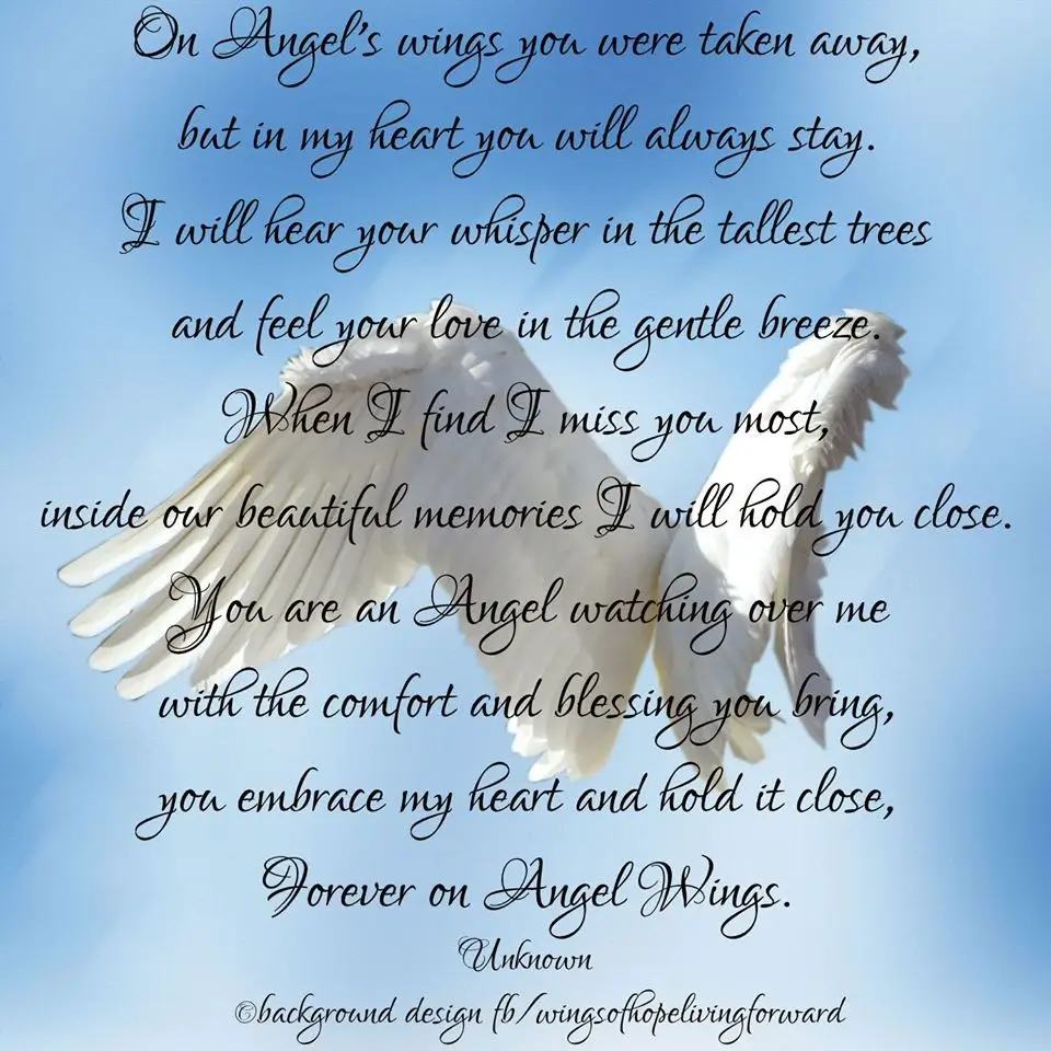 Angel wing Poems