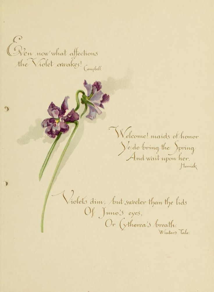 Violet Poems