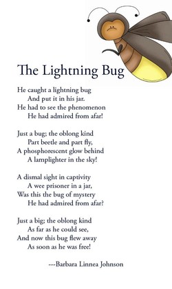 bug poem lightning poems camping summer themes reading grade school squish him don theme books fireflies poetry spelling raa buggy