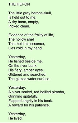 Williams Wadsworth S Nature Poems Williams Wadsworth S Nature Poems