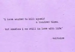 Voltaire On Pinterest Voltaire Quotes Famous Women